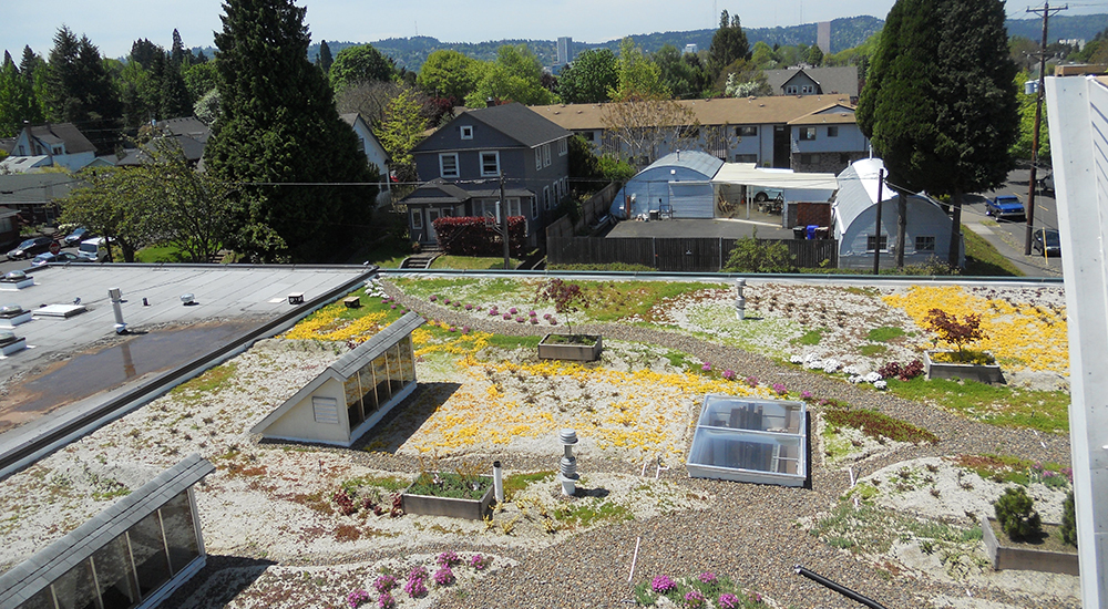 Portland, Oregon converted warehouse into rooftop garden and living space
