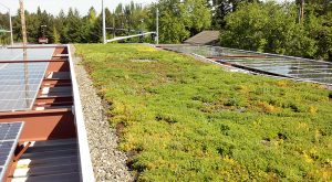 Woodburn Chevron Station with ecoroof and solar panels