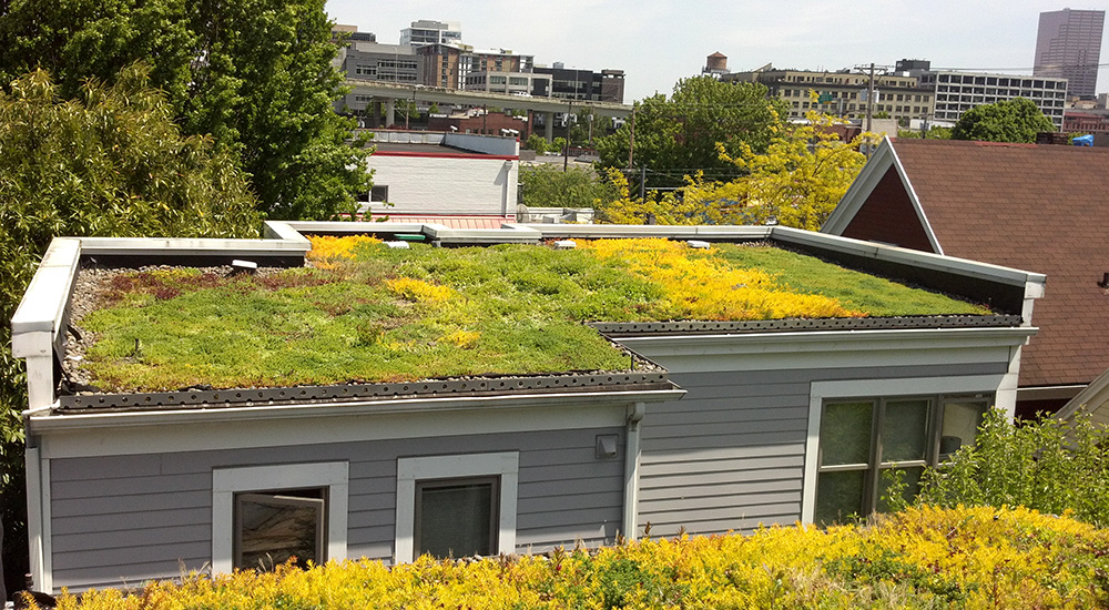 Molesto Ambigüedad Jirafa Green Roof (Ecoroof) Maintenance - Portland Oregon Green Roof, Ecoroof,  Rooftop and Seismic Upgrade Contractor. Portland Oregon Green Roof  maintenace and construction..