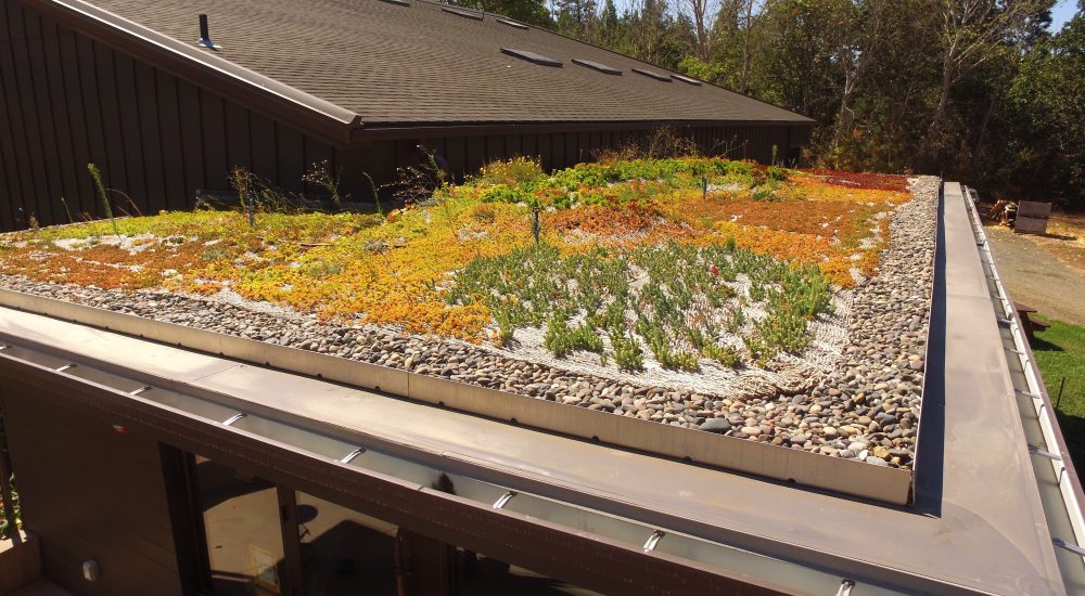 Memaloose Winery green roof, Mosier, Oregon