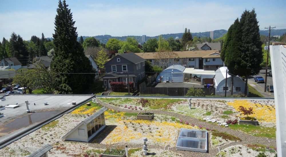 slide-Buckman-Ecoroof