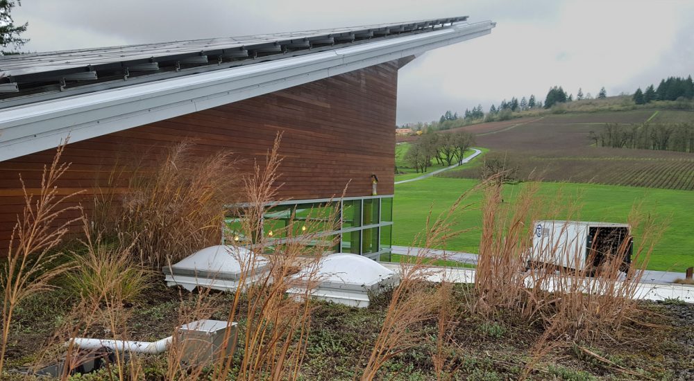 slide-Stoller-Vineyard-Ecoroof