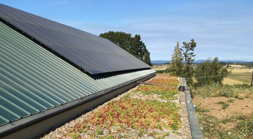Forest Grove Oregon Green Roof with Solar Panels