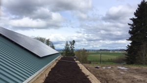 Forest Grove Cohousing Ecoroof - Forest Grove, Or.