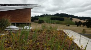 Green Roof Portland Oregon